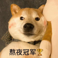 20200305363937_QLVDoj
